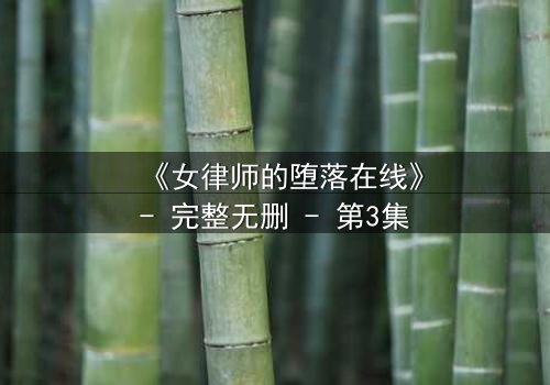 《女律师的堕落在线》- 完整无删 - 第3集