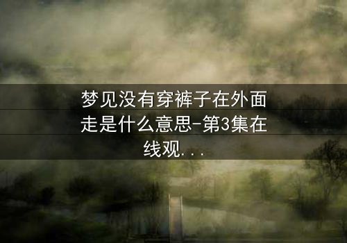 梦见没有穿裤子在外面走是什么意思-第3集在线观看 - 一场赤裸心灵的终极拷问