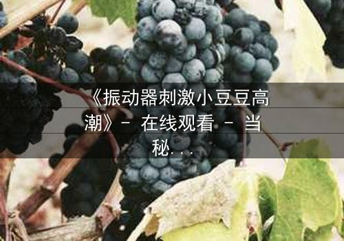 《振动器刺激小豆豆高潮》- 在线观看 - 当秘密被揭开,高潮不止于身体