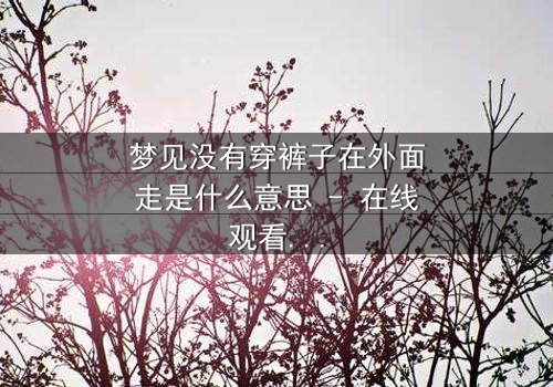 梦见没有穿裤子在外面走是什么意思 - 在线观看 - 揭开梦境背后的惊悚真相