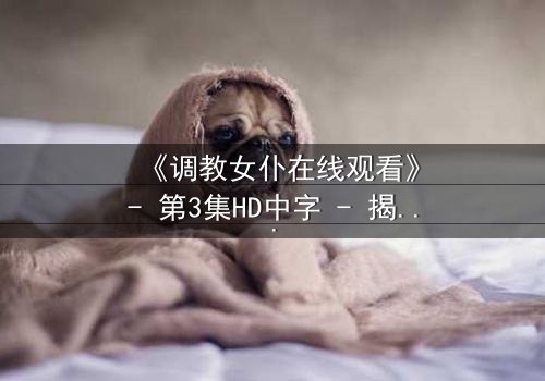 《调教女仆在线观看》- 第3集HD中字 - 揭开主仆契约背后的致命秘密