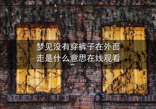 梦见没有穿裤子在外面走是什么意思在线观看 - 当梦境撕裂现实,你敢直面内心的恐惧吗?