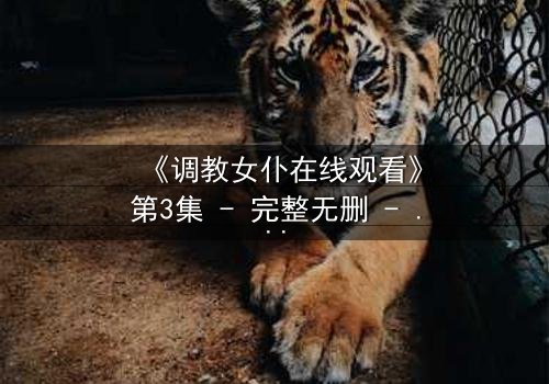 《调教女仆在线观看》第3集 - 完整无删 - 当忠诚与背叛交织,谁将主宰命运?