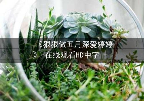 《狠狠做五月深爱婷婷》-在线观看HD中字 - 免费1080P超清完整无删
