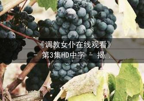 《调教女仆在线观看》- 第3集HD中字 - 揭开禁忌契约的隐秘真相