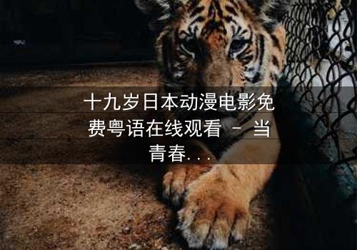 十九岁日本动漫电影免费粤语在线观看 - 当青春与命运碰撞,谁将主宰未来?