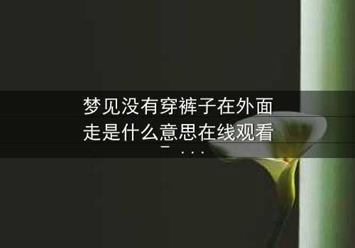 梦见没有穿裤子在外面走是什么意思在线观看 - 一场赤裸心灵的惊魂之旅