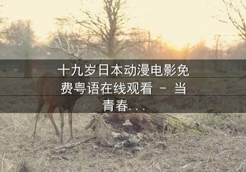 十九岁日本动漫电影免费粤语在线观看 - 当青春与命运碰撞,谁将改写结局?