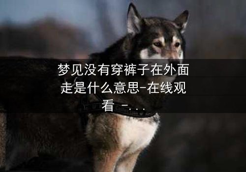 梦见没有穿裤子在外面走是什么意思-在线观看 - 揭秘梦境背后的惊悚真相