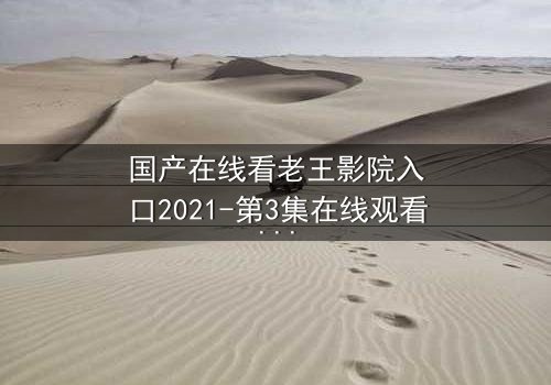 国产在线看老王影院入口2021-第3集在线观看HD中字 - 一场关于真相的致命追逐