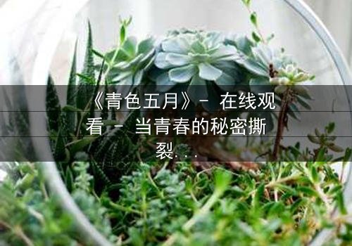 《青色五月》- 在线观看 - 当青春的秘密撕裂五月天空
