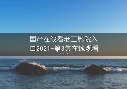 国产在线看老王影院入口2021-第3集在线观看HD中字 - 一场隐藏的真相即将揭晓