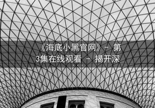《海底小黑官网》- 第3集在线观看 - 揭开深海秘密的惊魂之旅