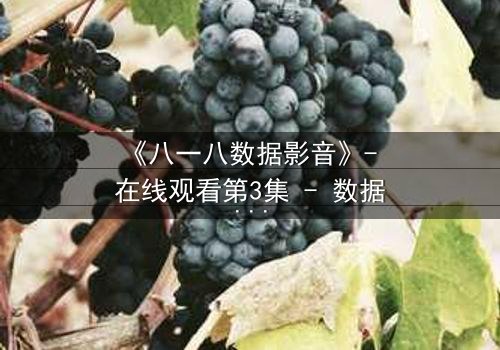 《八一八数据影音》- 在线观看第3集 - 数据背后的致命真相