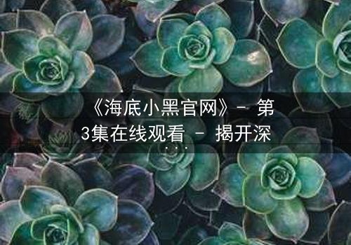 《海底小黑官网》- 第3集在线观看 - 揭开深海隐藏的惊天秘密
