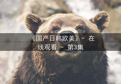 《国产日韩欧美》- 在线观看 - 第3集