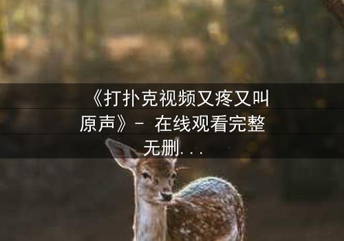 《打扑克视频又疼又叫原声》- 在线观看完整无删 - 一场扑克背后的生死赌局