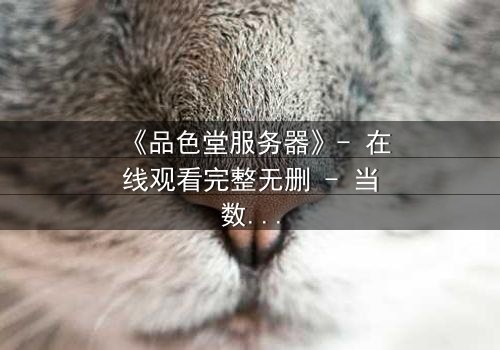 《品色堂服务器》- 在线观看完整无删 - 当数据成为致命武器