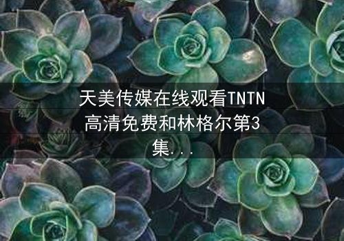 天美传媒在线观看TNTN高清免费和林格尔第3集在线观看 - 当秘密揭开,谁将付出生命的代价?