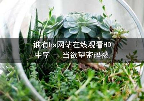 谁有hs网站在线观看HD中字 - 当欲望密码被意外解锁