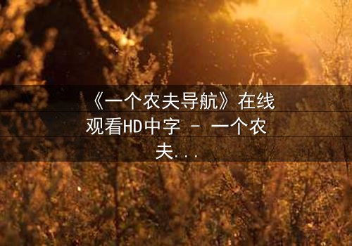 《一个农夫导航》在线观看HD中字 - 一个农夫如何用导航改写命运?