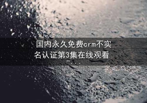 国内永久免费crm不实名认证第3集在线观看 - 揭秘企业数据背后的惊天秘密!