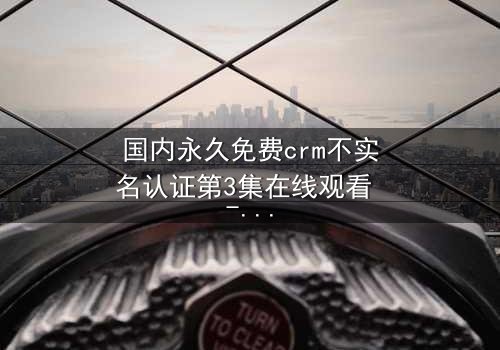 国内永久免费crm不实名认证第3集在线观看 - 揭开企业数据背后的惊天秘密