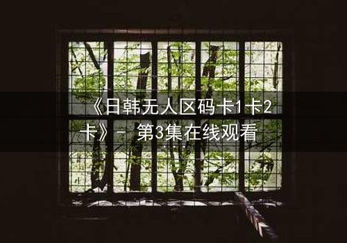 《日韩无人区码卡1卡2卡》- 第3集在线观看 - 当代码成为生存的唯一筹码
