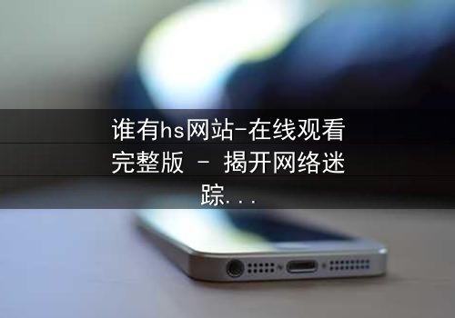 谁有hs网站-在线观看完整版 - 揭开网络迷踪的终极真相