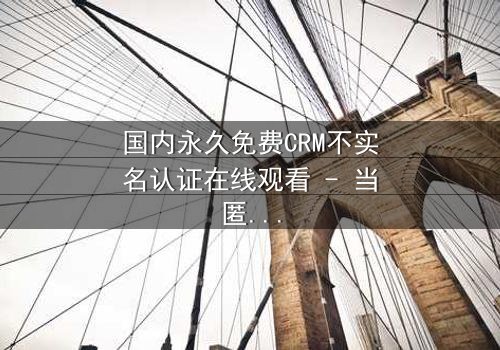 国内永久免费CRM不实名认证在线观看 - 当匿名成为致命诱惑