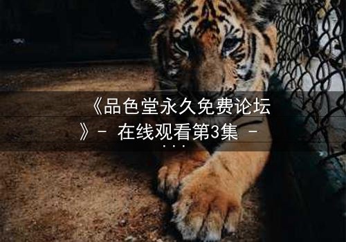《品色堂永久免费论坛》- 在线观看第3集 - 揭开隐藏的真相