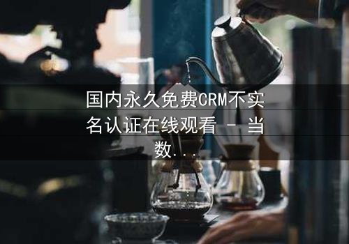 国内永久免费CRM不实名认证在线观看 - 当数据自由遭遇致命陷阱,你敢点击吗?