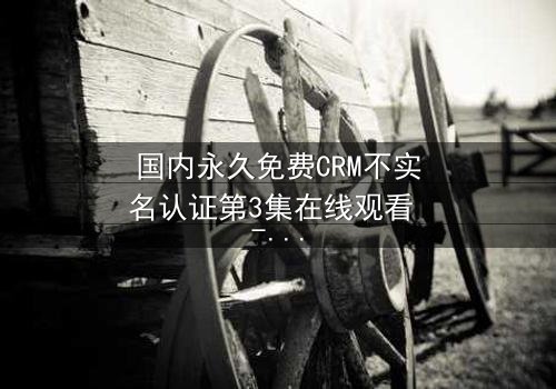 国内永久免费CRM不实名认证第3集在线观看 - 揭开数字世界的隐秘交易!