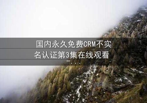 国内永久免费CRM不实名认证第3集在线观看 - 揭开企业数据背后的惊天秘密!