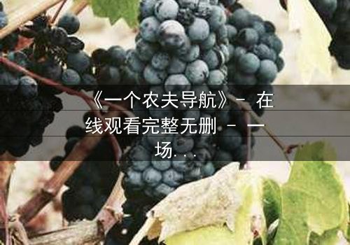 《一个农夫导航》- 在线观看完整无删 - 一场颠覆命运的隐秘较量