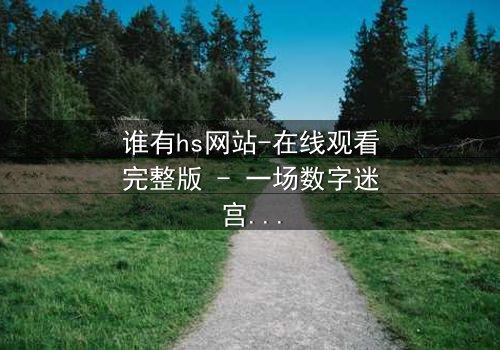 谁有hs网站-在线观看完整版 - 一场数字迷宫的致命追逐