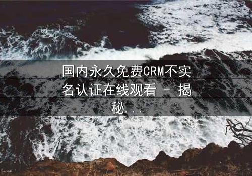 国内永久免费CRM不实名认证在线观看 - 揭秘企业数据背后的惊天秘密
