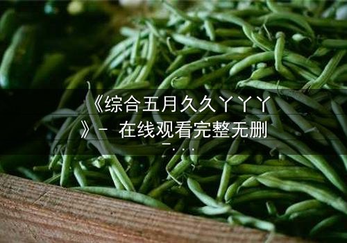 《综合五月久久丫丫丫》- 在线观看完整无删 - 一场跨越时空的禁忌之恋