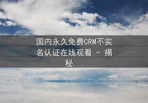 国内永久免费CRM不实名认证在线观看 - 揭秘企业数据背后的惊天秘密