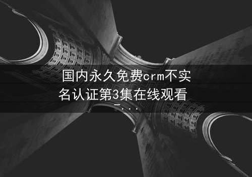 国内永久免费crm不实名认证第3集在线观看 - 揭开匿名风暴背后的致命真相