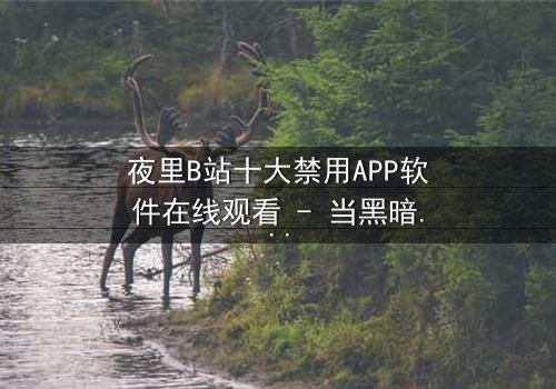夜里B站十大禁用APP软件在线观看 - 当黑暗中的APP操控你的命运