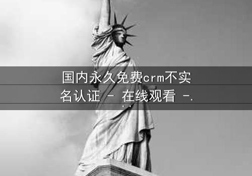 国内永久免费crm不实名认证 - 在线观看 - 当数据自由成为致命诱惑