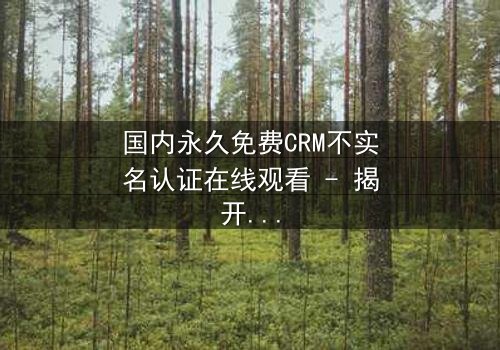 国内永久免费CRM不实名认证在线观看 - 揭开数字时代的隐秘交易