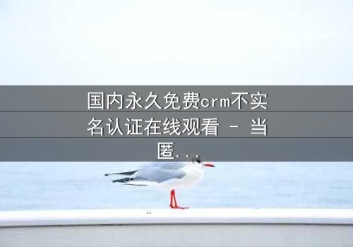 国内永久免费crm不实名认证在线观看 - 当匿名系统遭遇致命漏洞,谁能守护最后的隐私?