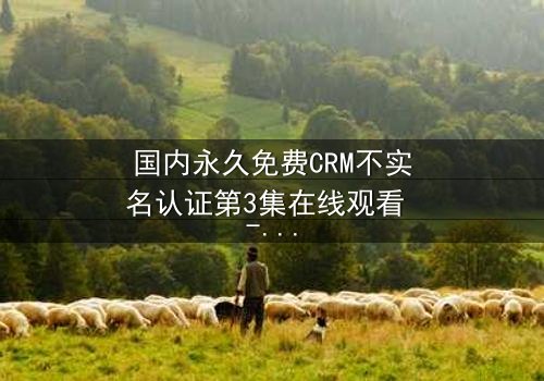 国内永久免费CRM不实名认证第3集在线观看 - 揭开企业数据背后的惊天秘密