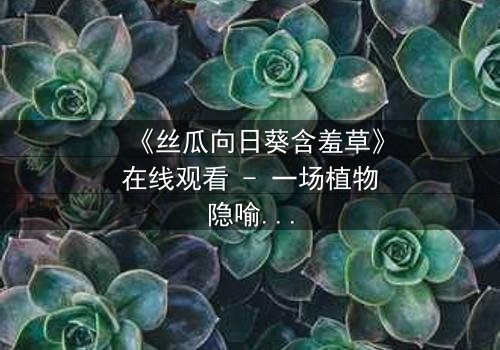 《丝瓜向日葵含羞草》在线观看 - 一场植物隐喻下的情感风暴