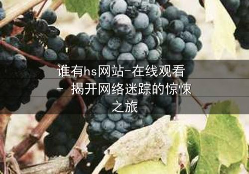 谁有hs网站-在线观看 - 揭开网络迷踪的惊悚之旅