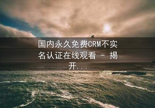 国内永久免费CRM不实名认证在线观看 - 揭开企业数据背后的惊天秘密