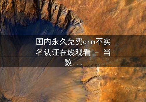 国内永久免费crm不实名认证在线观看 - 当数据隐私成为致命赌注,你敢尝试吗?