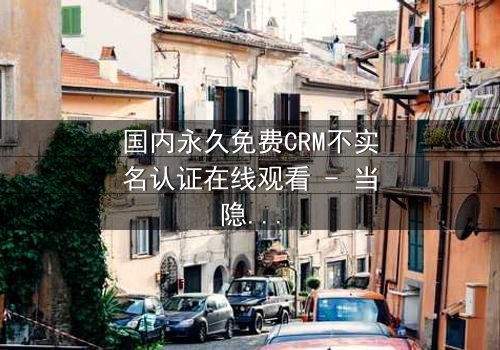 国内永久免费CRM不实名认证在线观看 - 当隐私成为交易的筹码,你敢赌吗?